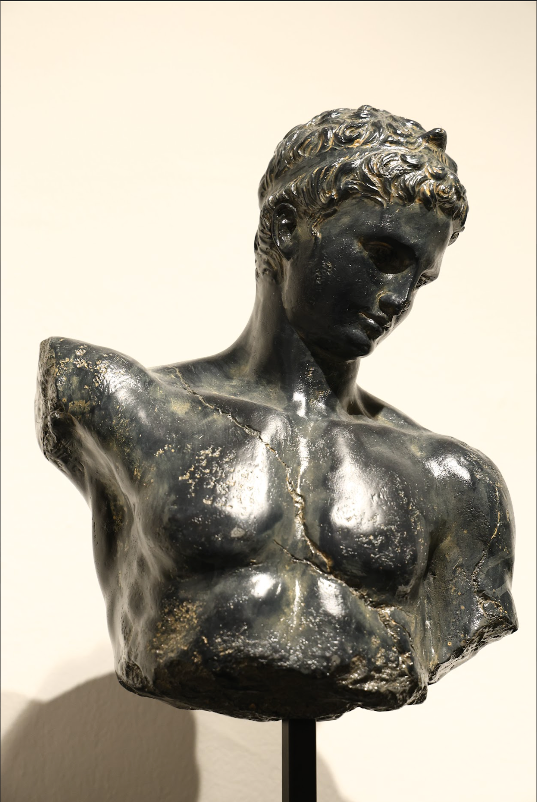 David Bust Decor – antique-finish decor by Cavalry Lane