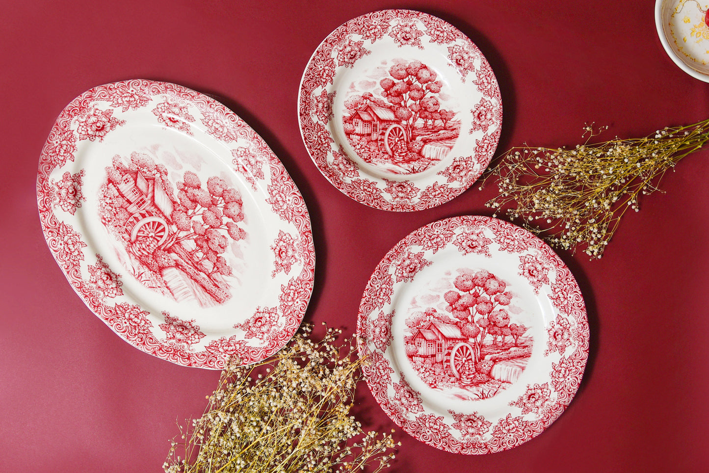 Waterwheel Cranberry Pasta Bowl Set